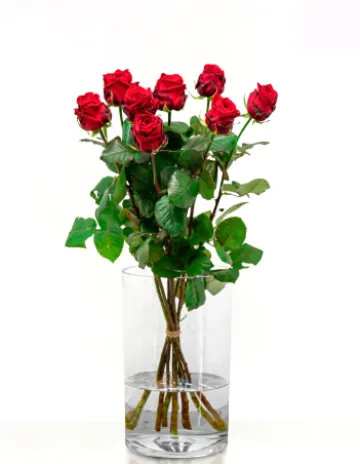 Boeket rode rozen, lange steel