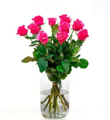 Boeket fuchsia rozen