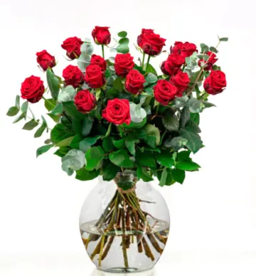 Boeket rode rozen, vol