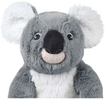 Koala Z Dzieckiem
