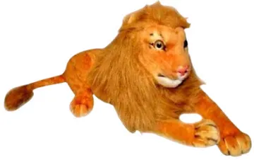 Leeuw
