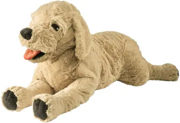 Hond Golden