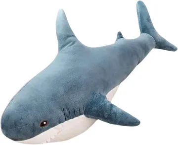 Haai